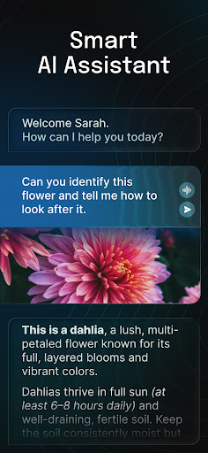 AI Chatbot – Nova screenshot 2