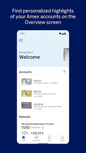 Amex screenshot 2
