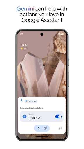 Google Assistant screenshot 5