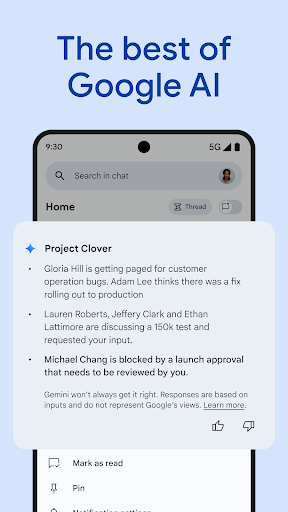 Google Chat screenshot 2