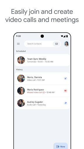 Google Meet screenshot 1