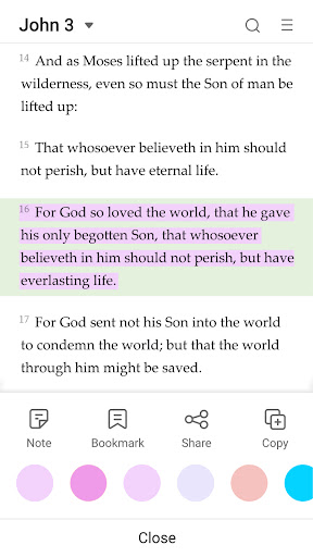 King James Bible – Verse+Audio screenshot 3