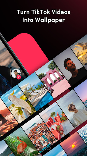 TickTock-TikTok Live Wallpaper screenshot 2