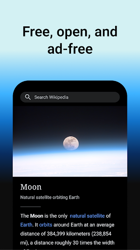 Wikipedia screenshot 1