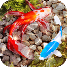 3D Fish Tank Live Wallpaper icon