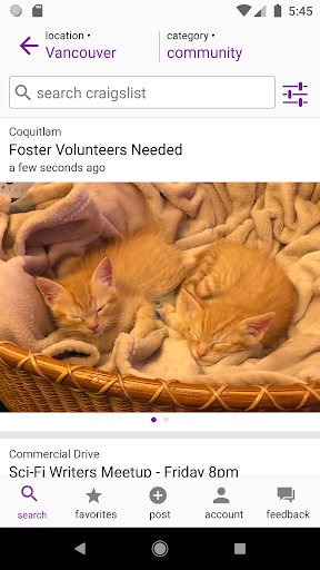 craigslist screenshot 6