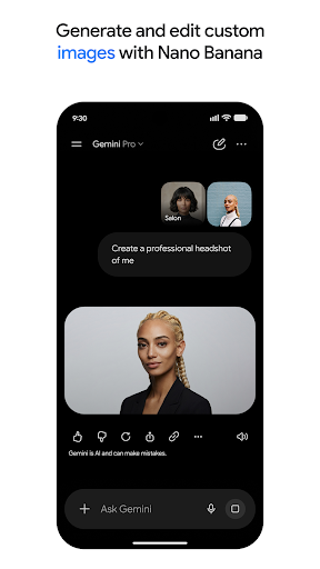 Google Gemini screenshot 1