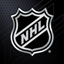 NHL icon