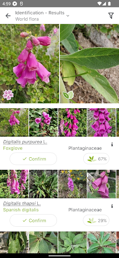 PlantNet Plant Identification screenshot 2