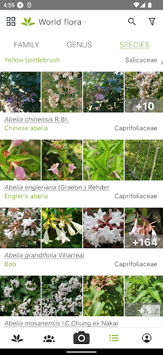 PlantNet Plant Identification screenshot 3