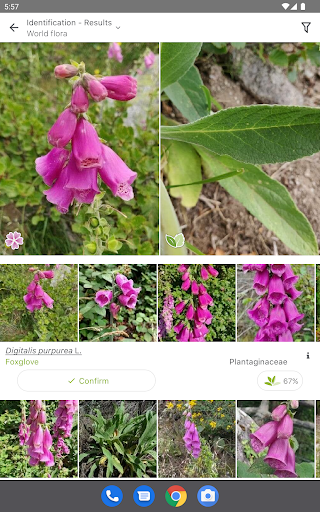PlantNet Plant Identification screenshot 6