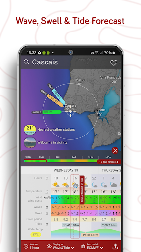 Windy.com – Weather Forecast screenshot 5